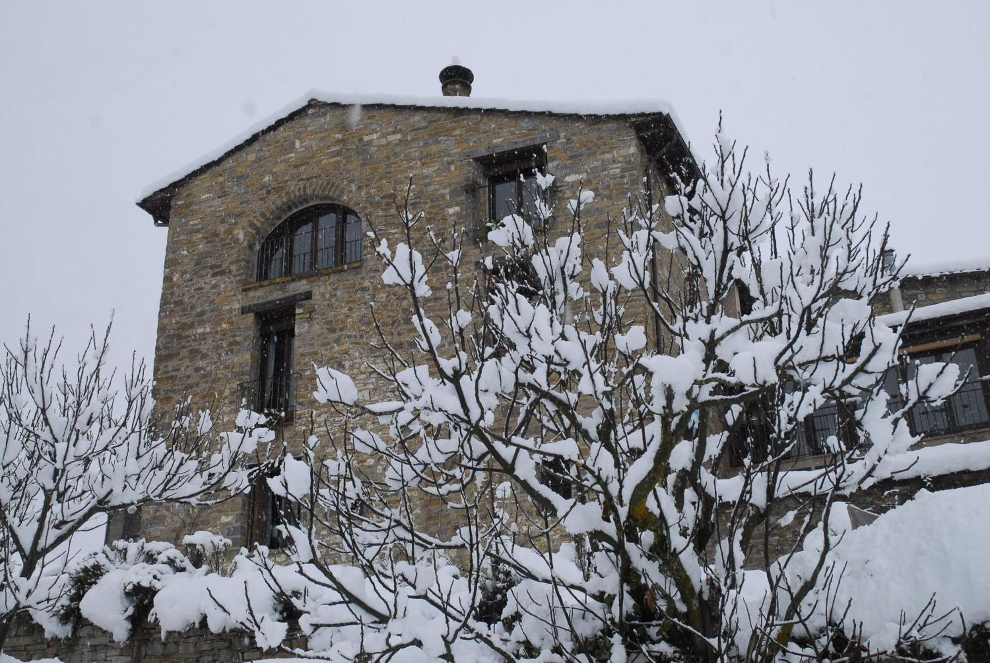 Gasthaus O Chardinet d'a Formiga Aínsa Exterior foto